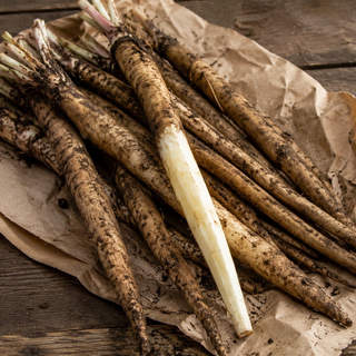 Salsify