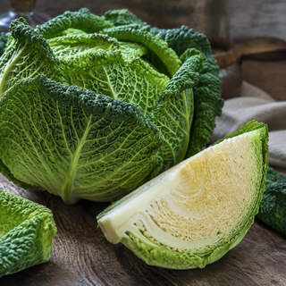 Savoy Cabbage