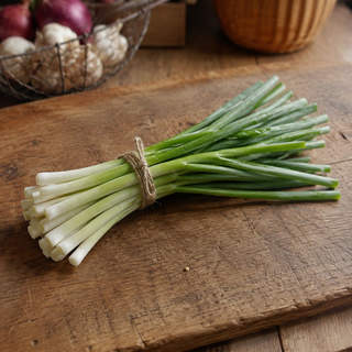 Scallion