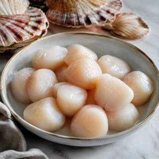 Scallops