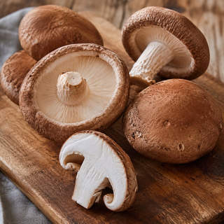 Shiitake Mushroom