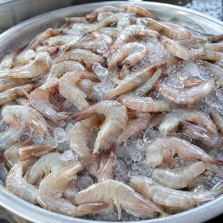 Shrimp