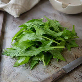 Sorrel
