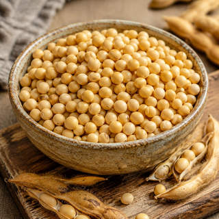Soybean