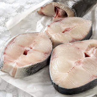 Sturgeon