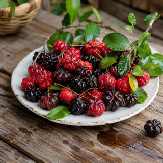 Surinam Cherry