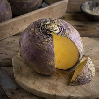 Swede