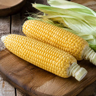 Sweet Corn