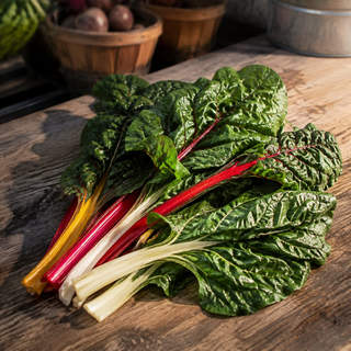 Swiss Chard