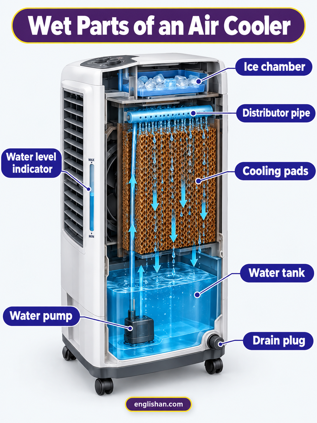 Wet parts of an air cooler including the water tank, pump, cooling pads, distribution pipe, float valve, and drain plug