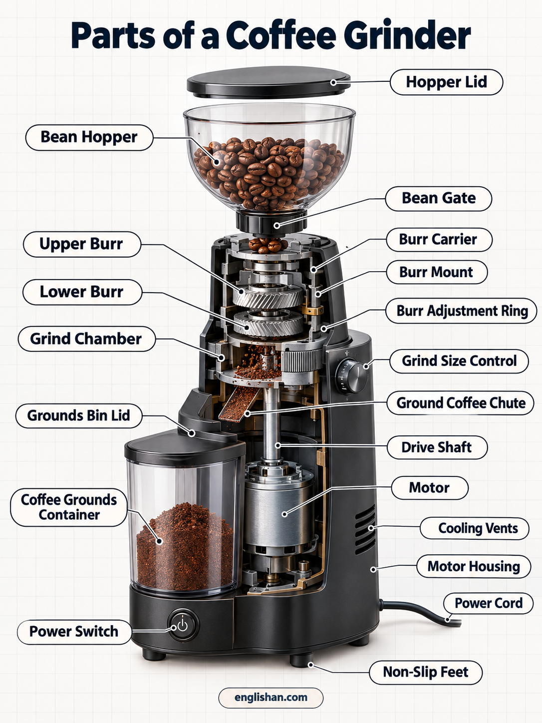 Coffee grinder parts diagram showing the hopper, burrs, grinding chamber, adjustment ring, motor, shaft, and grounds container