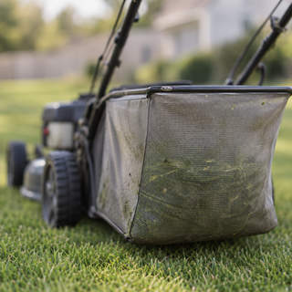 Grass Bag