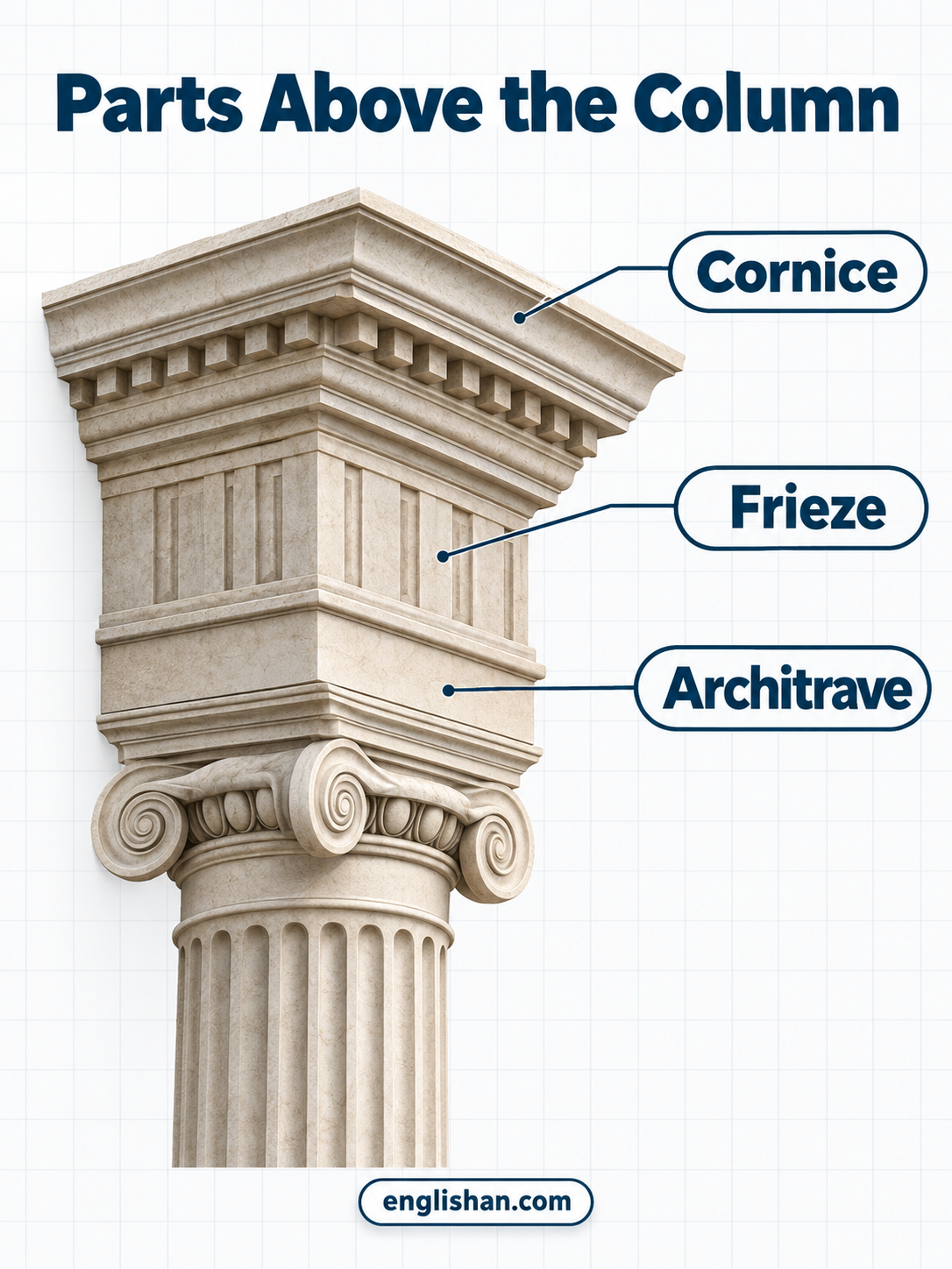 Parts above the column including the capital, abacus, architrave, frieze, and cornice