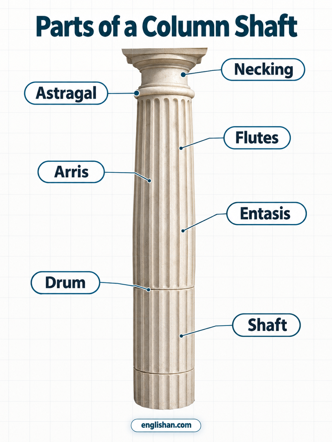 Parts of a column shaft including flutes, arris, entasis, drums, necking, and astragal