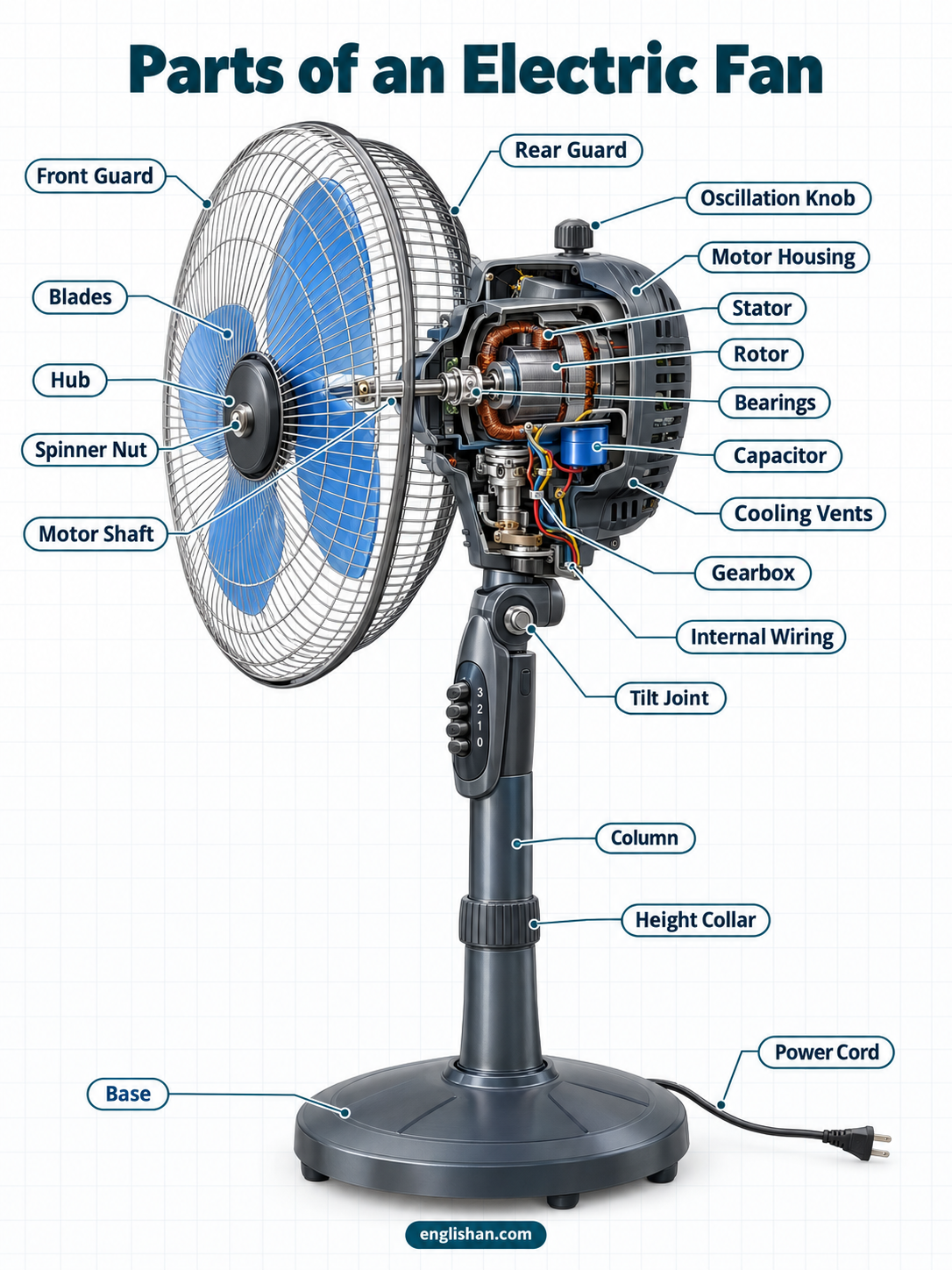 Parts of an electric fan including motor, blades, grilles, shaft, capacitor, oscillation mechanism, stand, and base