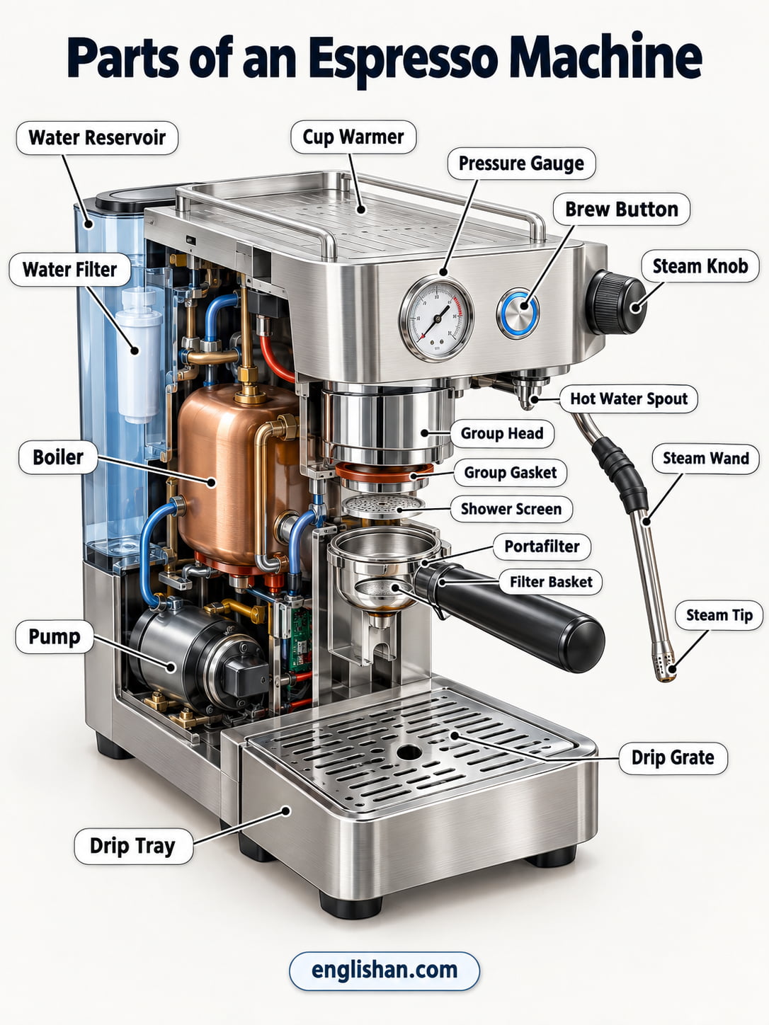 Parts of an espresso machine including the portafilter, group head, boiler, pump, steam wand, and drip tray