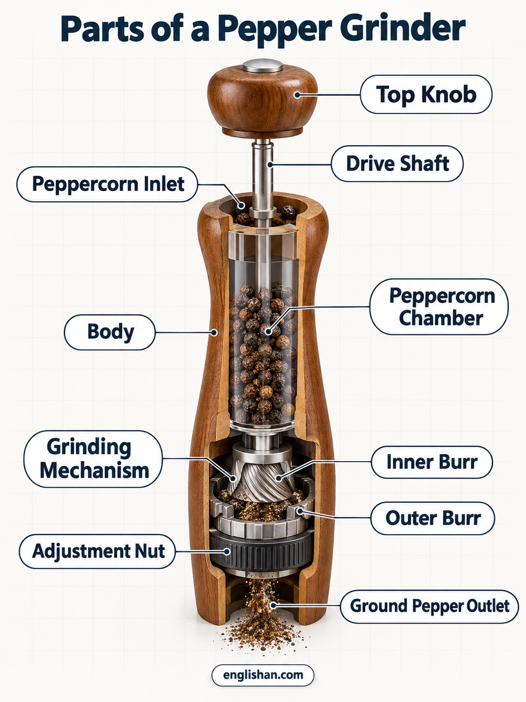 Pepper grinder parts cutaway diagram showing the body, pepper chamber, shaft, grinding mechanism, spring, and adjustment knob