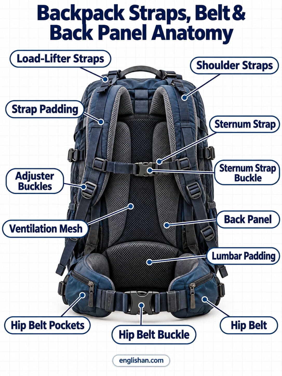 Backpack anatomy showing shoulder straps, sternum strap, back padding, load lifters, compression straps, main compartment, and laptop sleeve