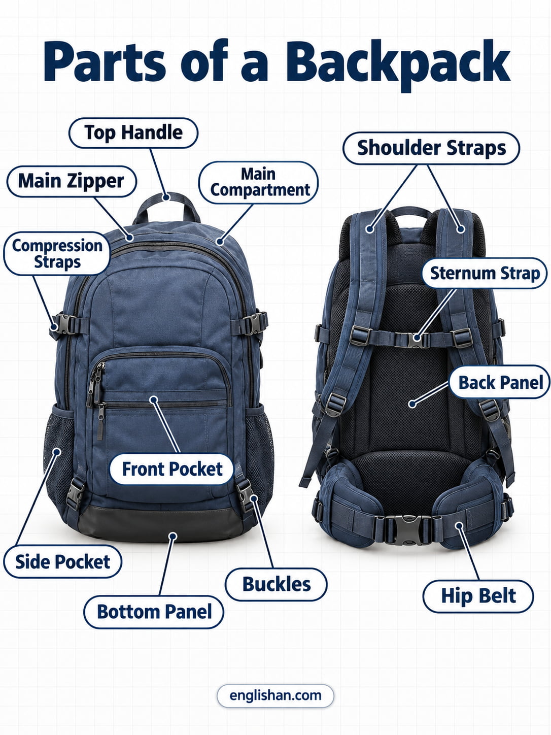 Parts of a backpack showing shoulder straps, top handle, main compartment, front pocket, side mesh pockets, zipper, and padded back panel