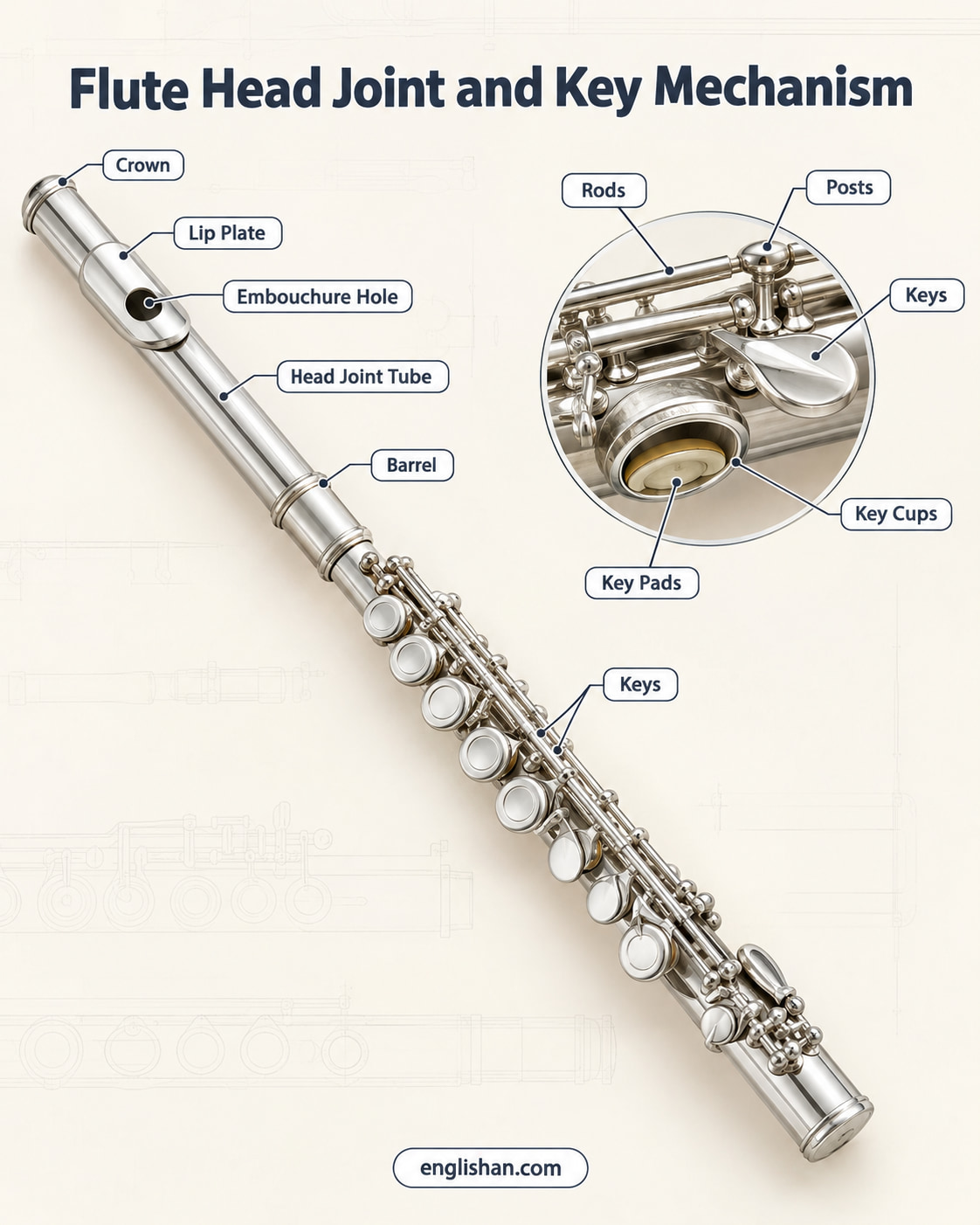 Concert flute headjoint and key mechanism showing the lip plate, embouchure hole, crown, key cups, rods, springs, and pads